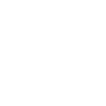 salads